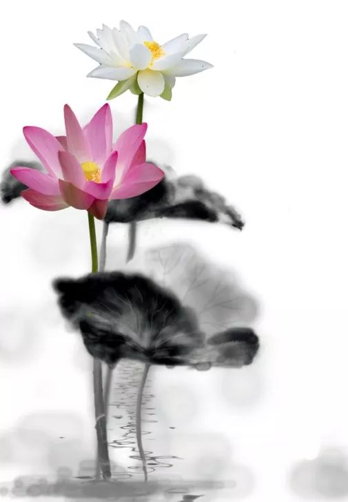 席明:摄影,是我热爱生活的表达 | 作品集《大器晚成》首发