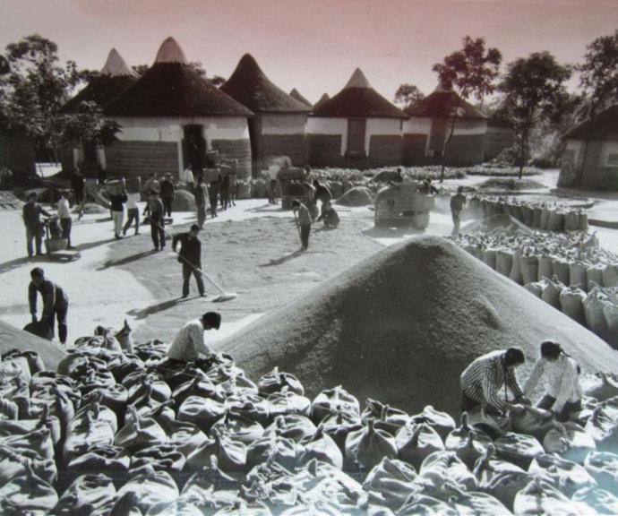 老照片:70年代的农村,欣欣向荣的人民公社生活