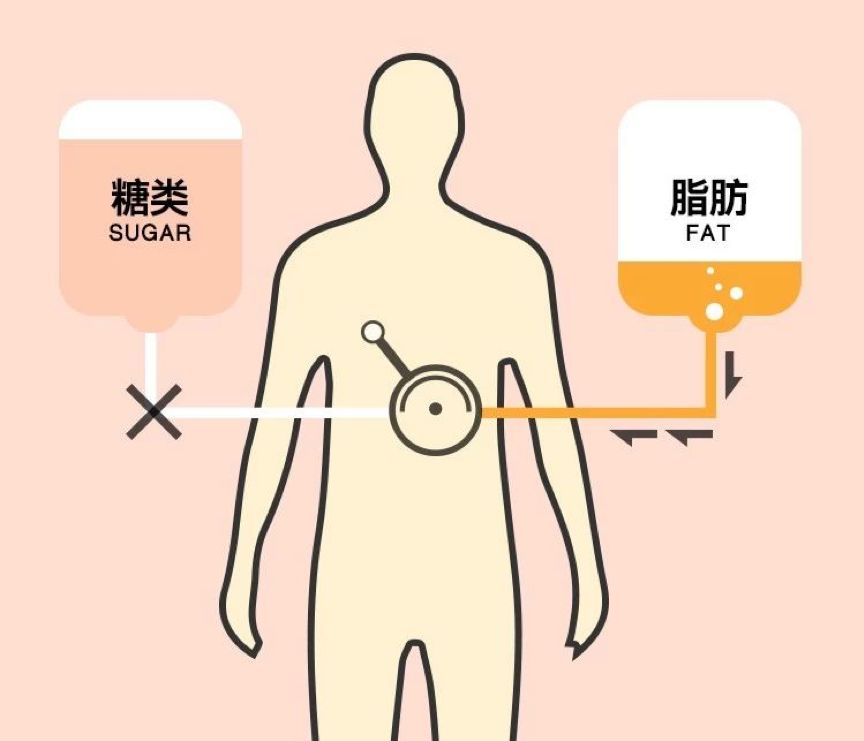 饿的原理_流量小花综艺首谈婚恋观,拼命奋斗竟是为攒嫁妆钱