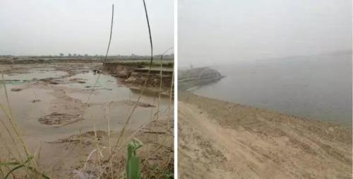 中央环保督察:黄河湿地保护区违规开发建设问题突出