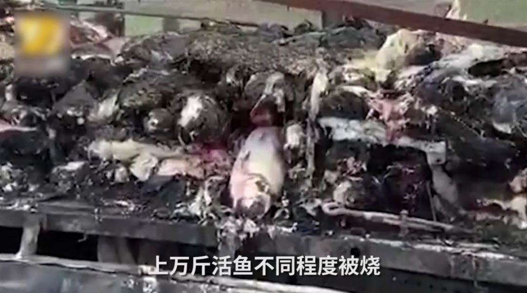 夏季是爆胎多发季节 教你一招识别爆胎前兆