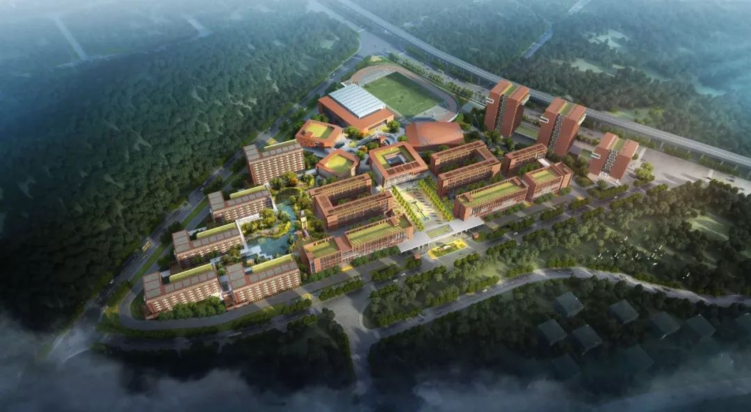 紫茶小学群福校区范罗冈小学华盛校区定了还有江门市滨江学校