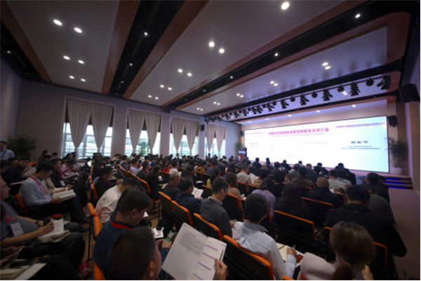 GDP碳强度_...与行动2019年度报告》发布去年我国单位GDP碳强度下降4%