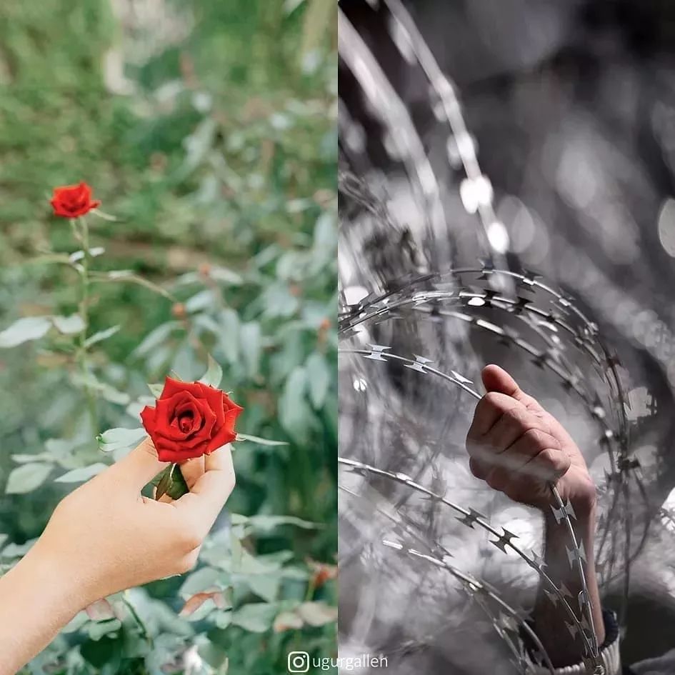 带刺的不一定是玫瑰,也可能是铁丝网.