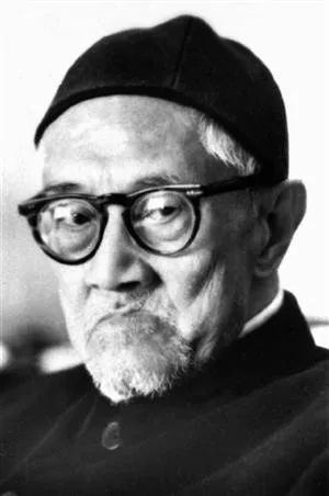 杨念群:五四的另一面,“民主”和“科学”之外 |观学院2019|胡适|民国|杨念群_新浪新闻