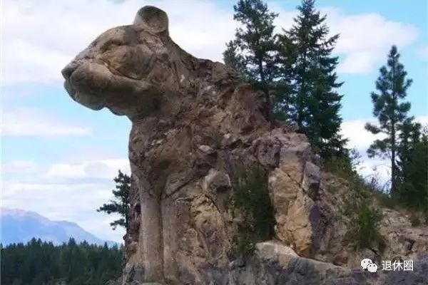 18张最刺激眼球的奇图,活到百岁也不一定见得到!太牛了