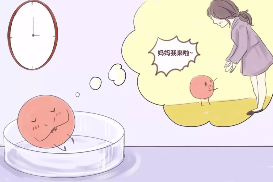 李媛教授祝你好孕科普漫画之胚胎是如何培养出来的