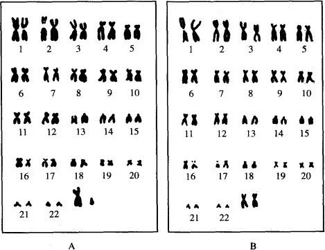 【善解童贞工作坊 案例讨论】吃零食会让孩子提前来月经吗?