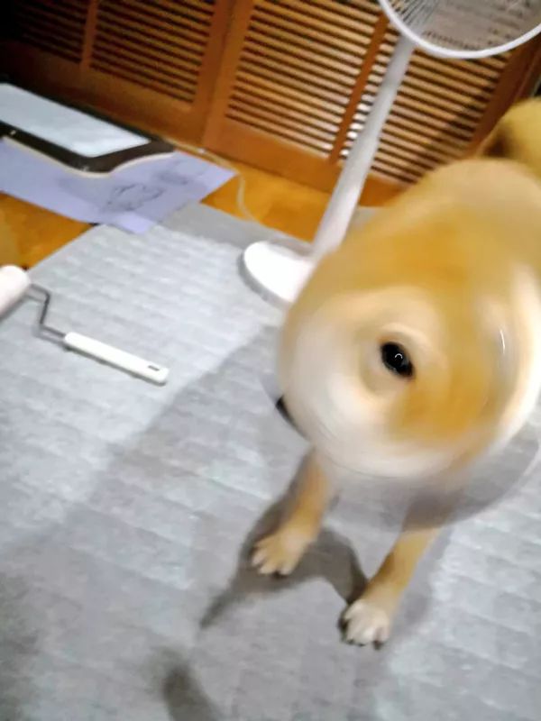 神了日本手工鬼才捏的小动物模型比表情包还沙雕