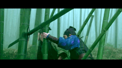 为何武侠剧偏爱竹林?|卧虎藏龙|侠女_新浪新闻