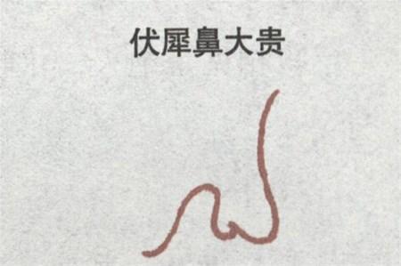 相学百科—解析面相伏羲鼻