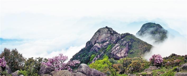 走进寻乌 感受一座赣南小城的斑斓