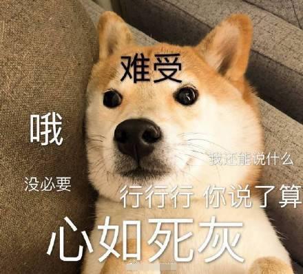 搞笑图片小柴犬的表情包来个热吻吗宝贝儿