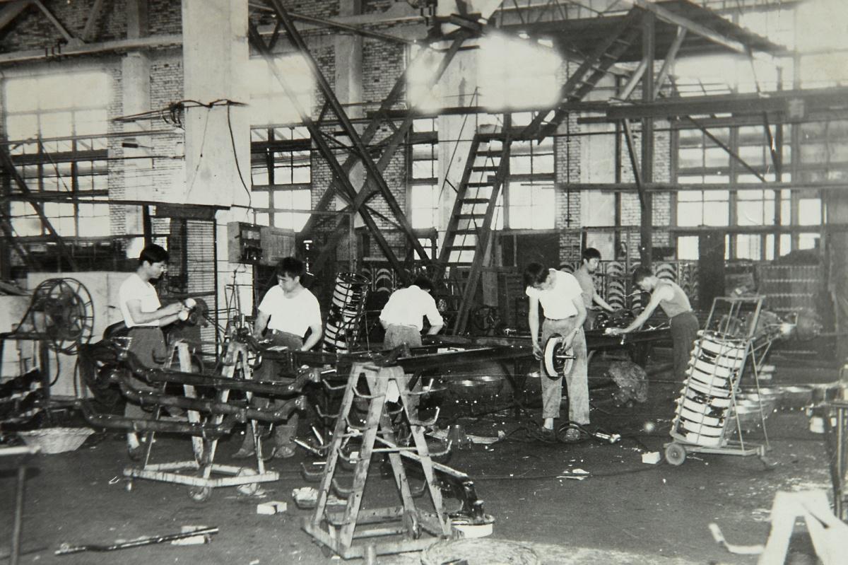 龙的起源考证 家蛇不能打的科学解释