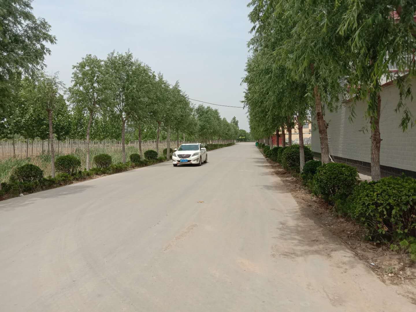 茌平县杜郎口镇运用"绣花功夫"打造美丽家园