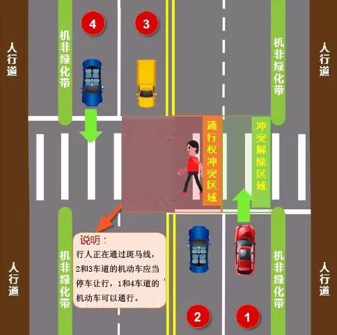 出行丨斑马线前机动车如何礼让行人? 公安交管部门图文详解