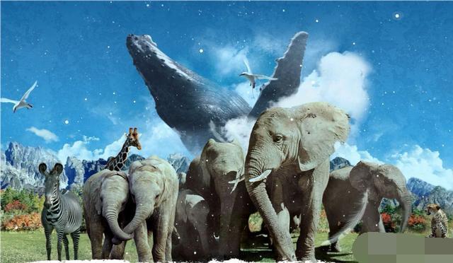 陆上最大动物是大象,海里最大动物是鲸鱼,天空最大动物是什么