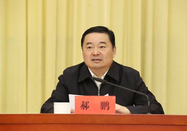 党政一肩挑国务院国资委党委书记郝鹏再任主任一职