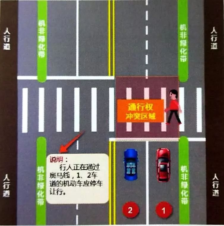 出行丨斑马线前机动车如何礼让行人? 公安交管部门图文详解