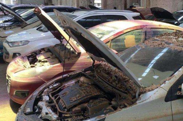 泡水车危害这么大,它们都会流向哪里?其实就在我们身边