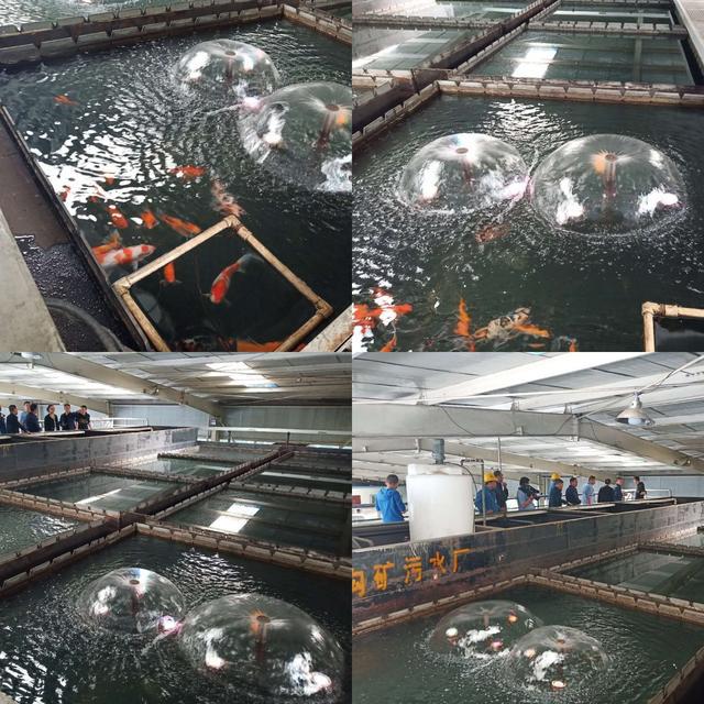 斜溝煤礦用高科技打造綠色礦山