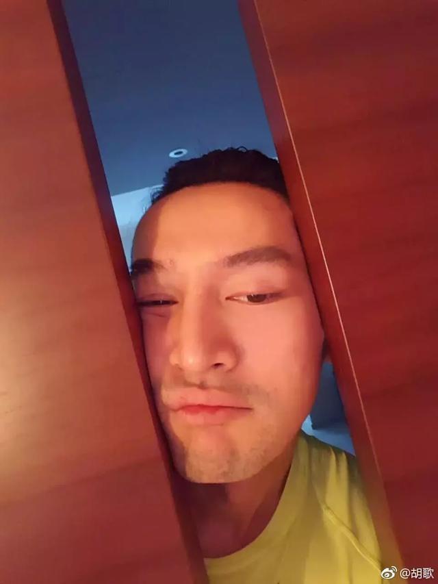 胡歌po图画风清奇!这些男明星的自拍堪比毁容