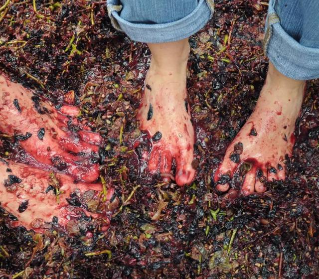 3种用脚"踩"出来的食物,葡萄酒上榜,第二种大家天天吃