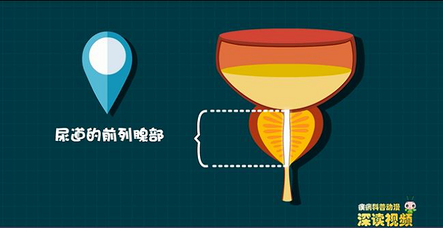 前列腺炎对性功能影响有多大?