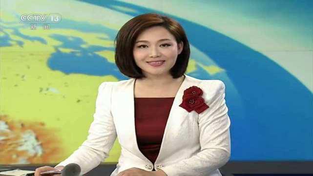 但是,郑丽给人的感觉是一位小家碧玉,她曾说自己从小的愿望是当一名