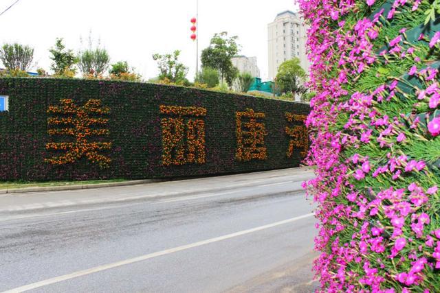 唐河:立体绿化助力国家园林城市创建