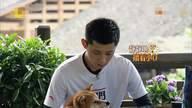 张继科成何炅爱犬的首位领养人他和小盆的缘分还藏着不同的友谊