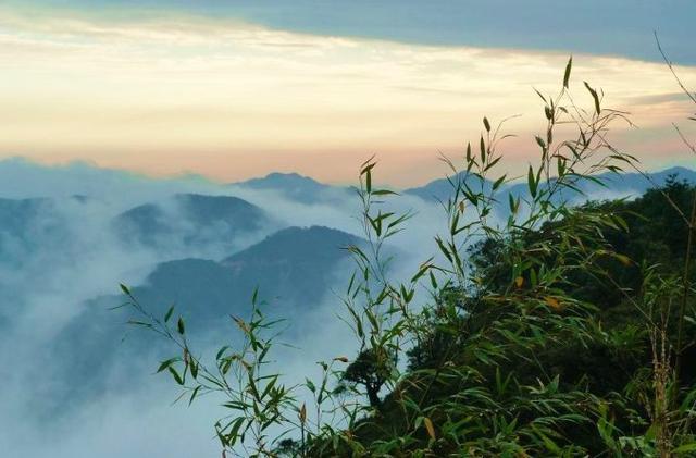 《孟城坳》王维 新家孟城口,古木余衰柳. 来者复为谁?空悲昔人有.