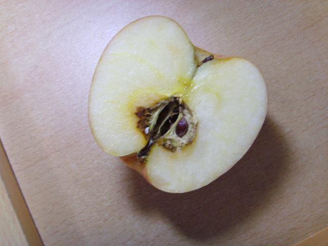 苹果坏了还能用,留着养花,花儿吸收养分,长得好!