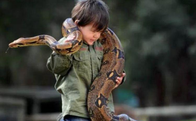 澳大利亚一男孩2岁时便与蛇玩耍,家人表示不担心还感到骄傲