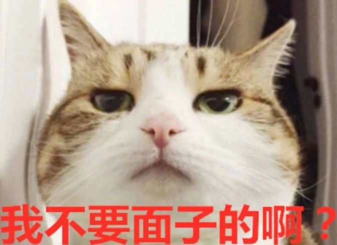 猫:我没有面子嘛