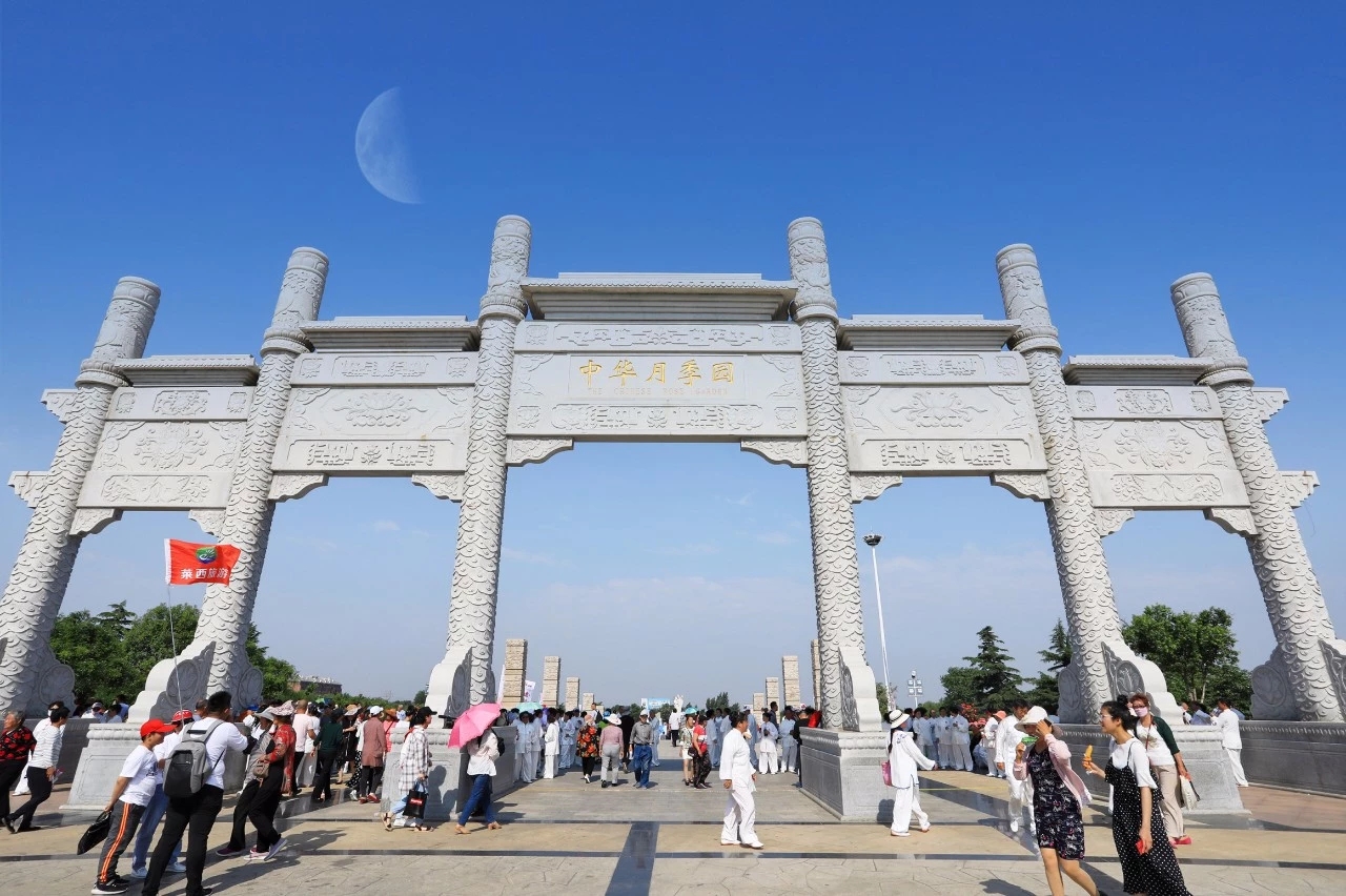 花开莱州月季为媒唱响文旅融合大戏