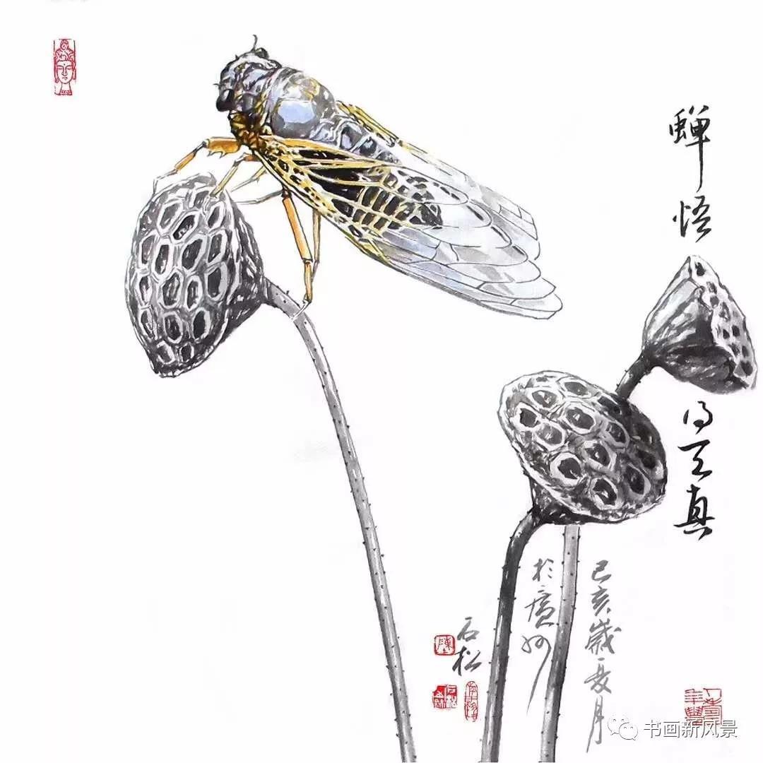 画个"知了"也这么有创意!高人!