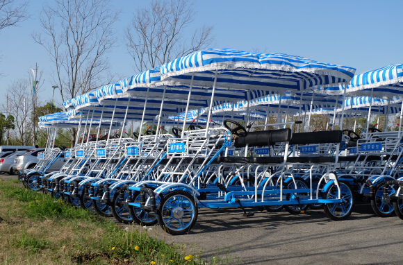 哈啰共享景区车发布"春游"大数据,淮安白马湖森林公园排名全省第三