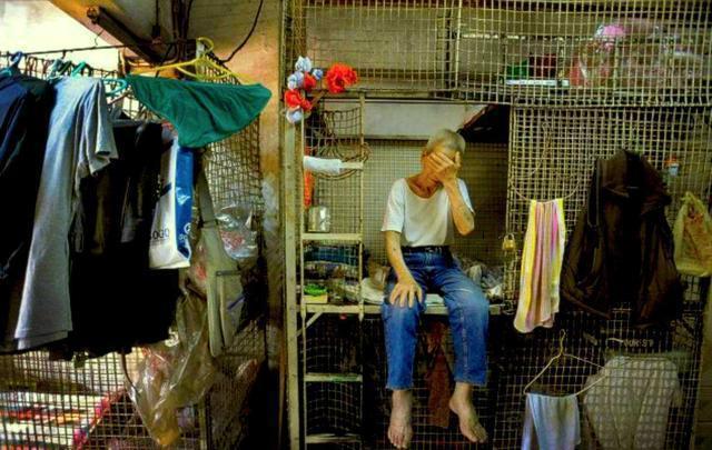 天堂|笼屋|铁笼_新浪新闻