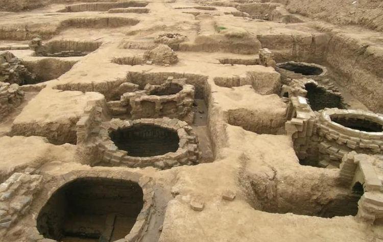 25万平方米的遗址,填补了山东史前文化缺环