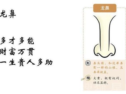 面相为什么说:富贵在鼻,鼻子看你是否天生好运!_新浪新闻