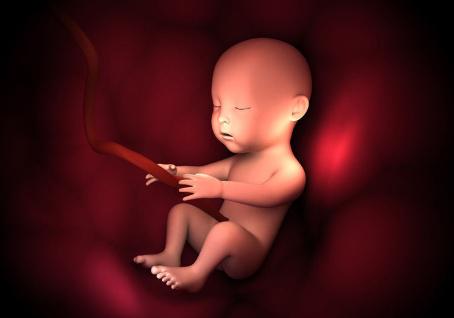 什么提示你怀了男宝宝（什么提示你怀了男宝宝看B超单）-85模板网