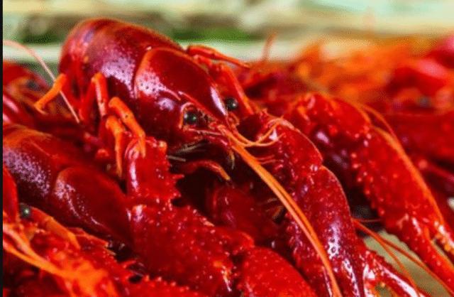 被中国人拎上餐桌的外来物种小龙虾吃到供不应求它却无人问津