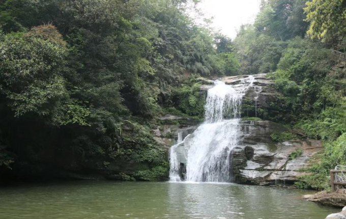 虽为4A景区,但人气很旺|碧峰峡|大熊猫 .