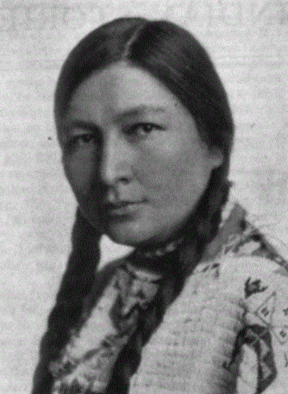 白人作家垄断英语经典文学?出版巨头开始