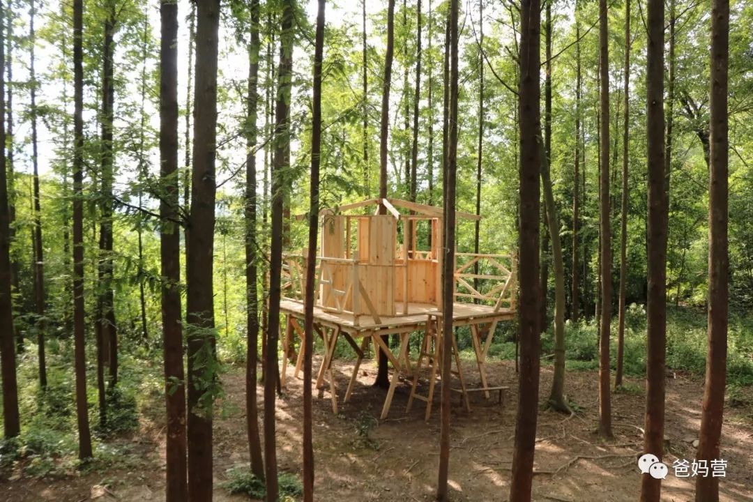 世界上最美好的教育之一就是让孩子们自己亲手造一座树屋treehouse