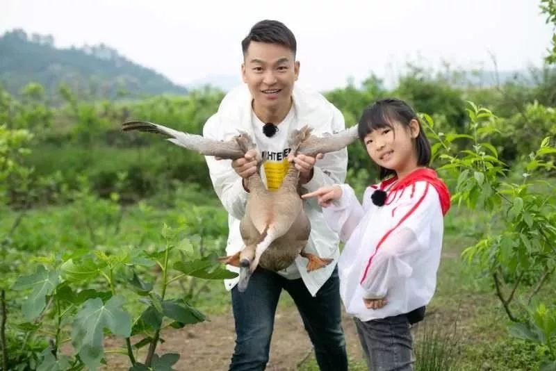 在山林田野来场美食大冒险,《麦咭小厨》以厨艺为魂,赋能少年成长