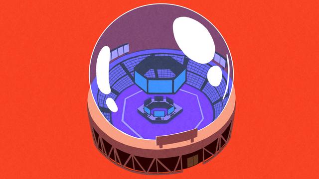 数据虚高、盈利糟糕,电子竞技行业会是庞氏骗