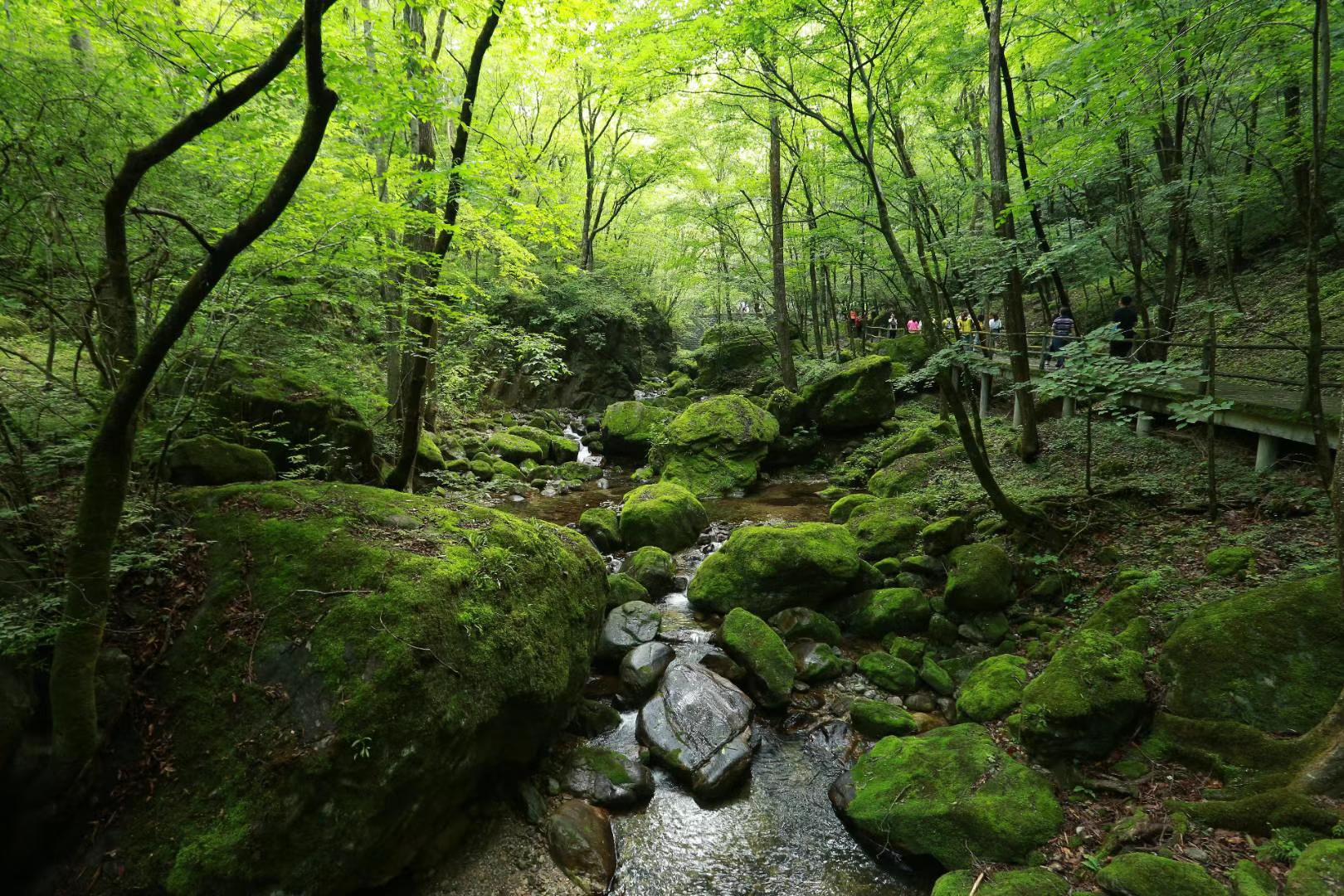 一脚踏南北的避暑胜地柞水牛背梁
