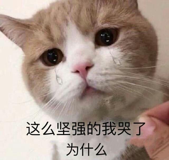 表情包:你好好反省一下自己|表情包_新浪新闻